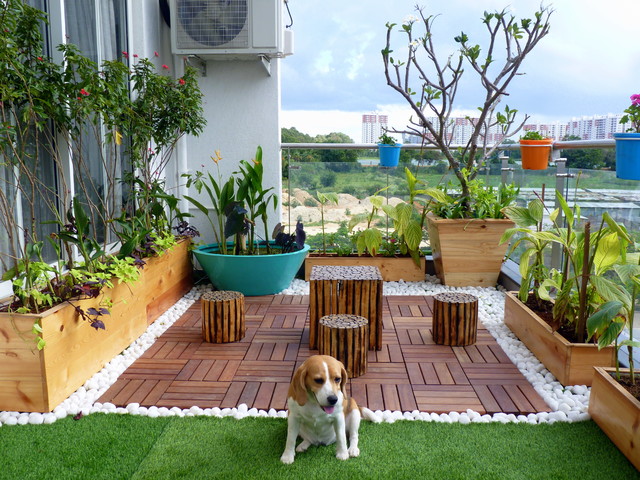 6 Easy Steps to Set up a Terrace Garden: Grab a Piece of Your Heaven